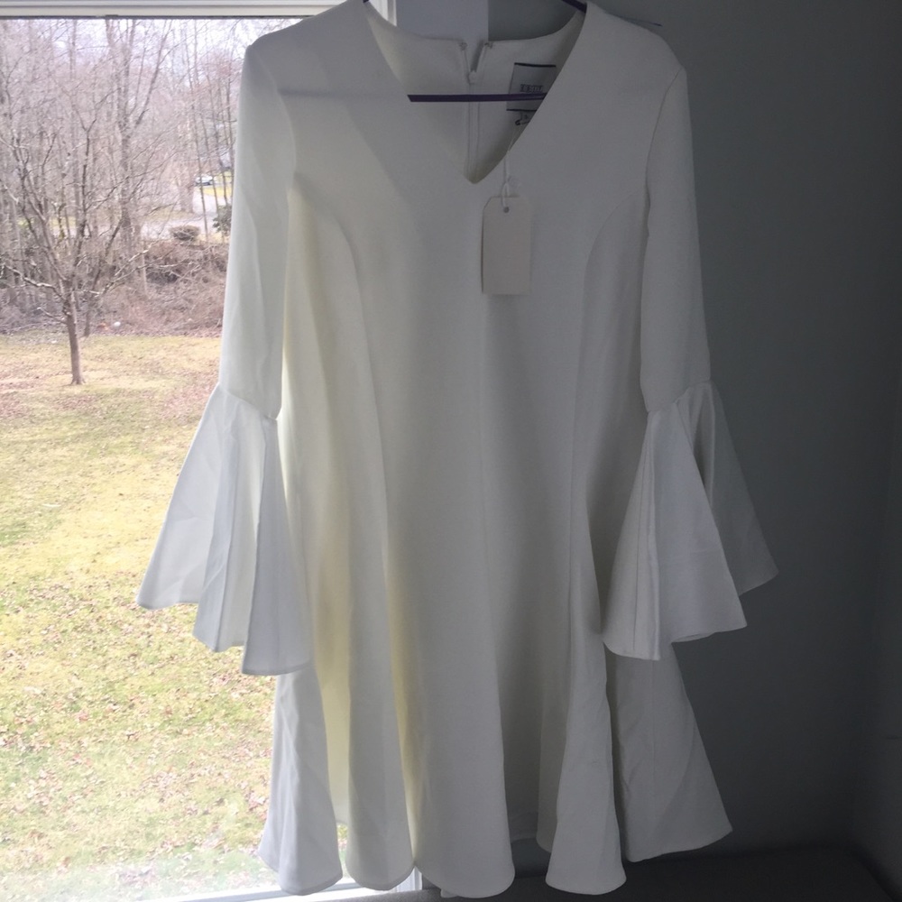 Edit the brand fit and flare dress bell sleeves satin white